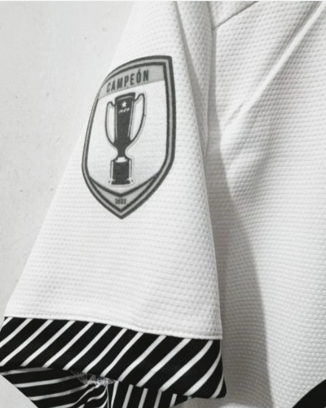 ARTURO VIDAL 2024-25 (COLO COLO)