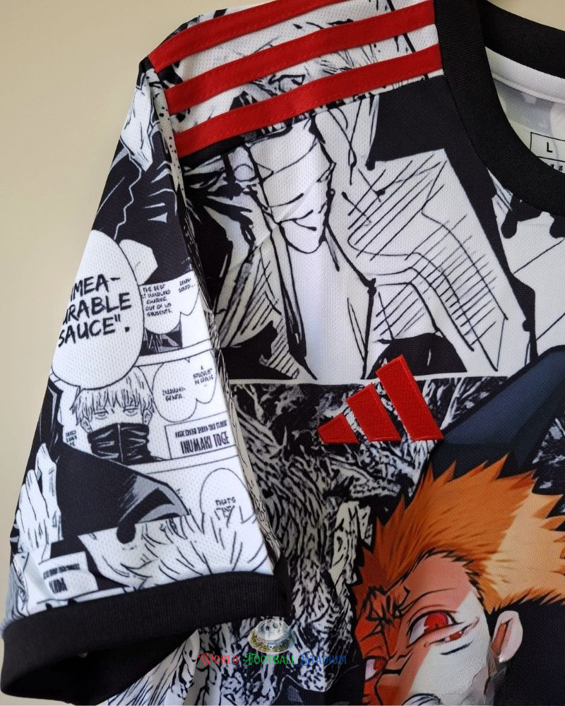 JAPAN CULTURE 2024-25 (Sukuna)