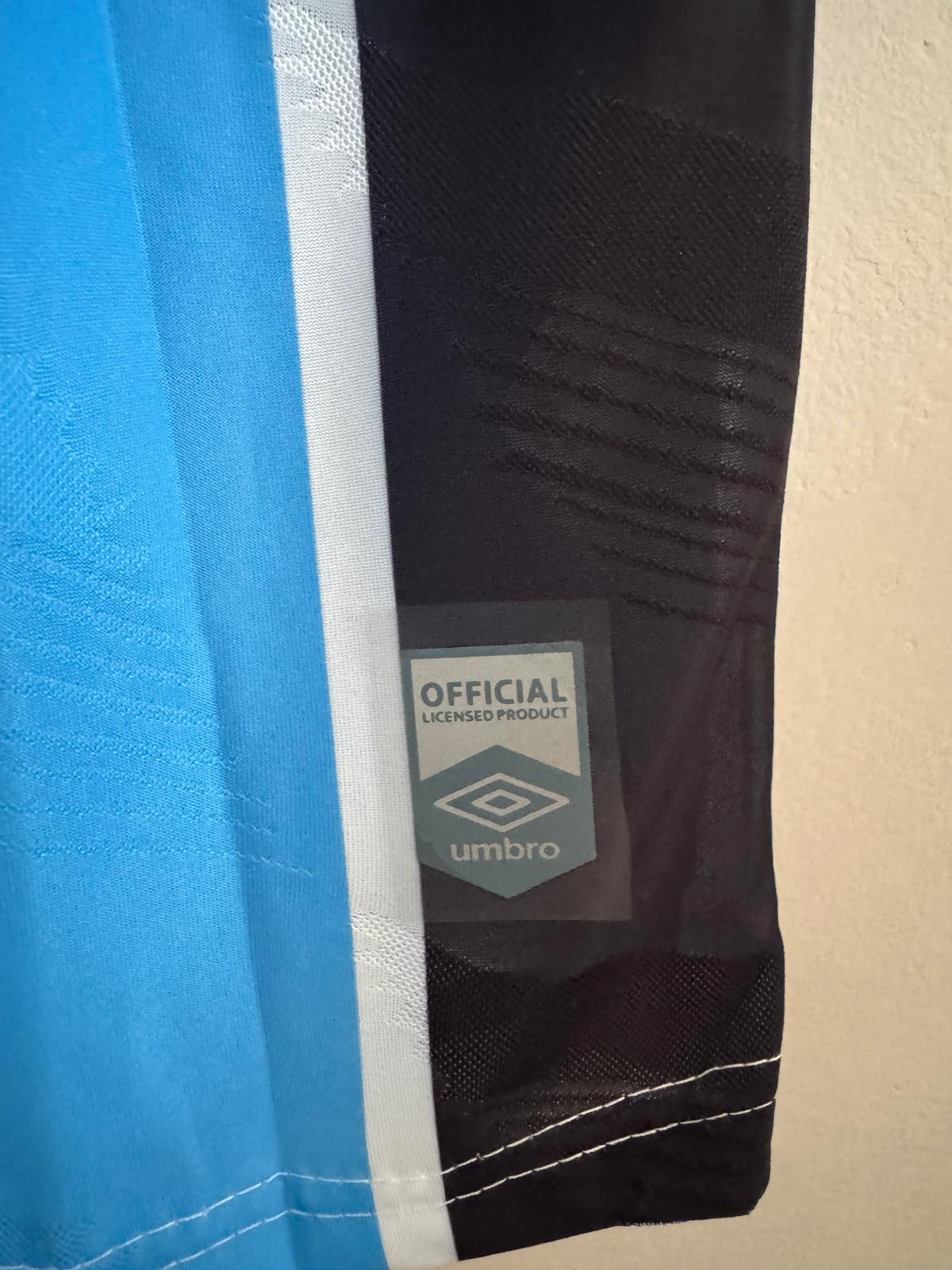 ALEXANDER ARAVENA 2024-25 (Gre)