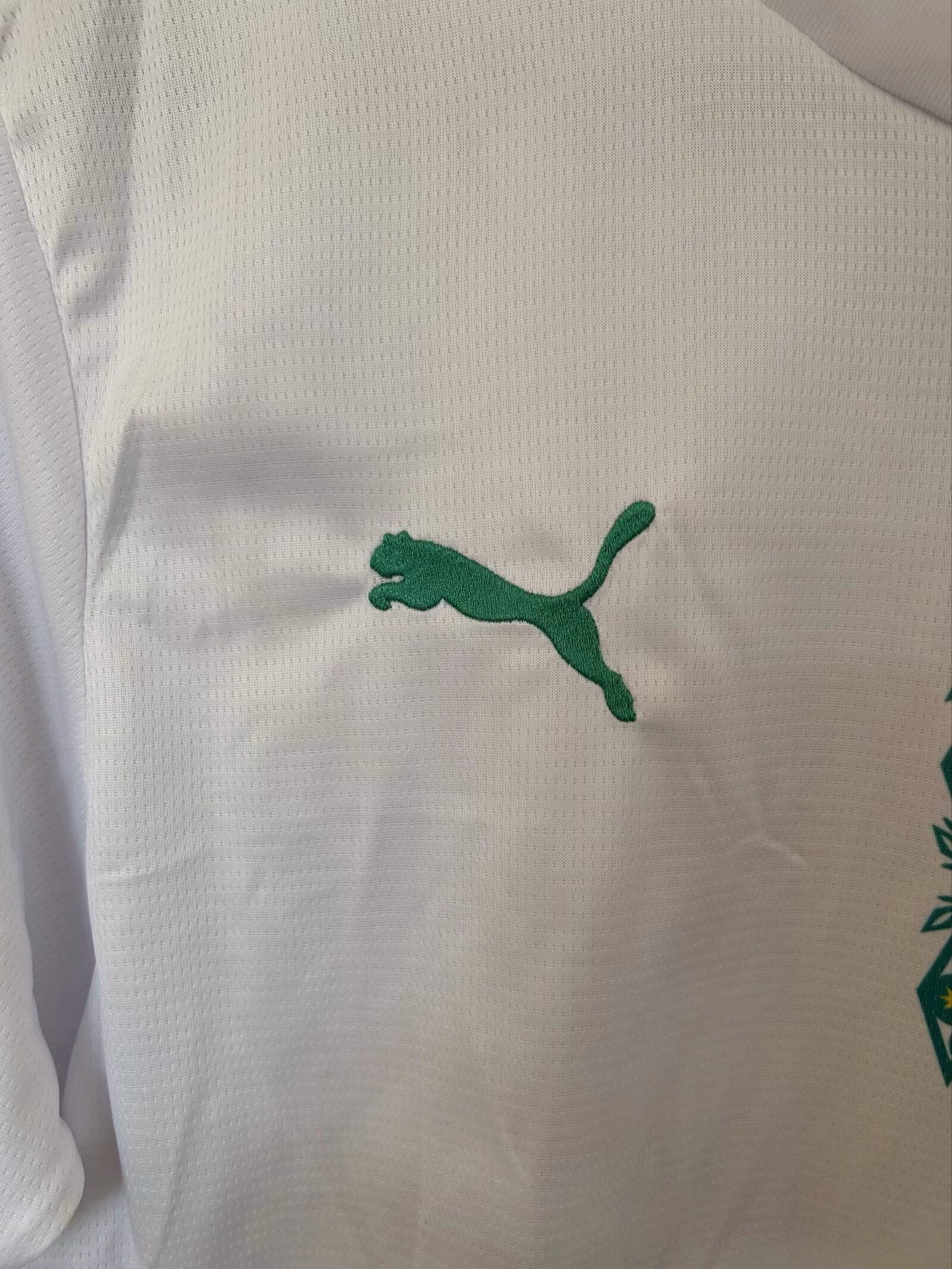 Senegal World Cup 2026